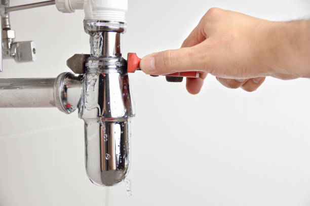 Best Garbage Disposal Repair and Installation  in Delavan, WI